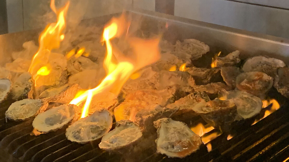 Kraken Oysters